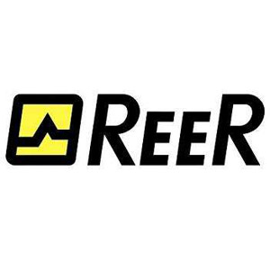 REER(图1)